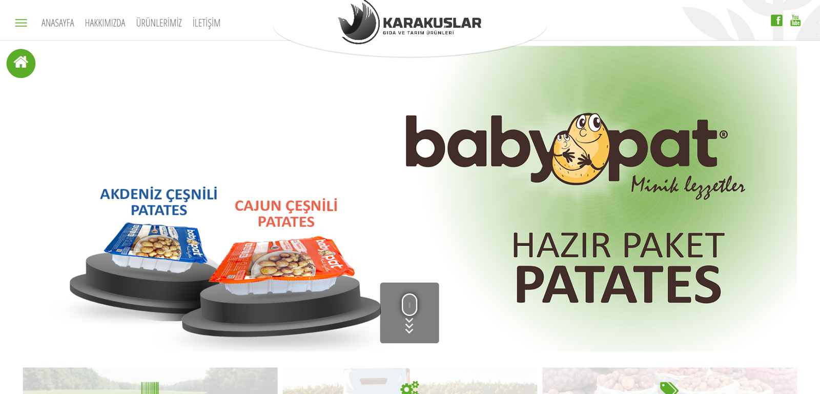 Karakuslargida
